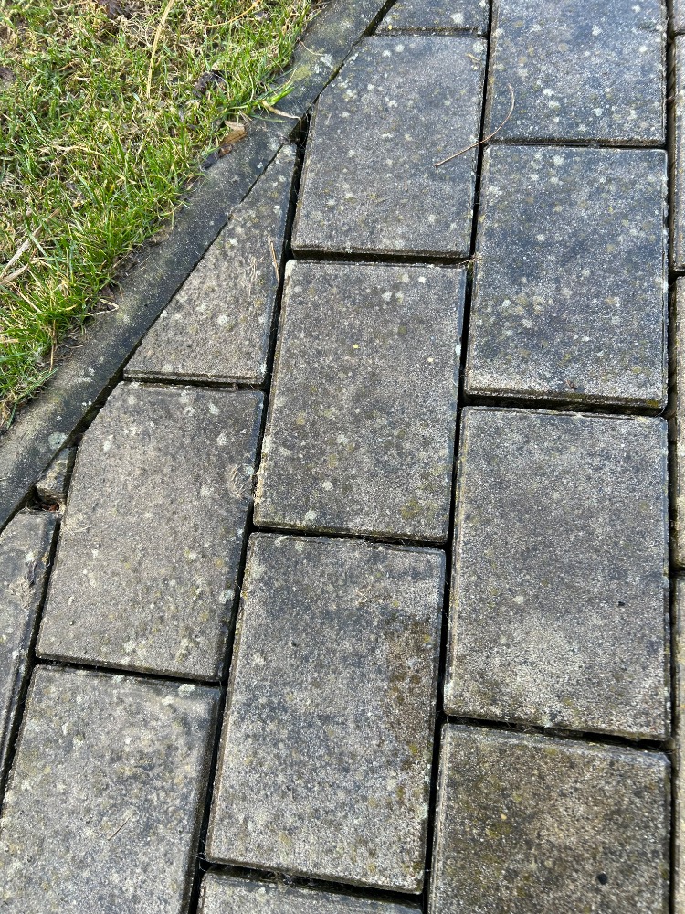 Detail vyčištěné dlažby – před čištěním
